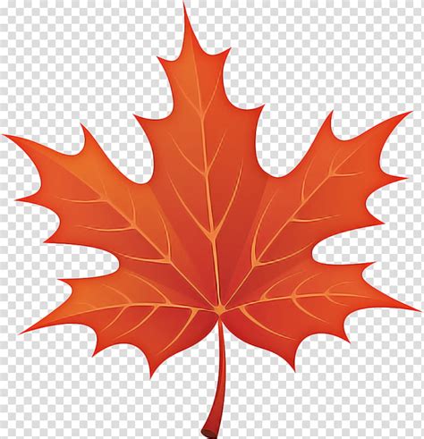 Discover 82+ canadian maple leaf sketch latest - seven.edu.vn