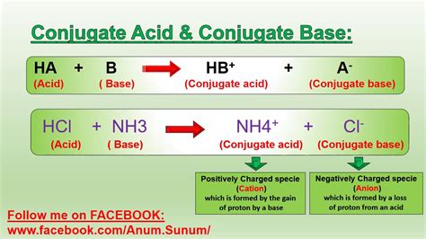 Conjugate Acid Base Pairs List