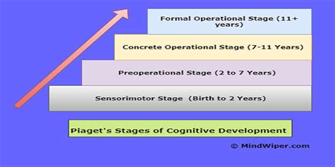 Piaget's Stages of Cognitive Development | The 4 Stages of Development