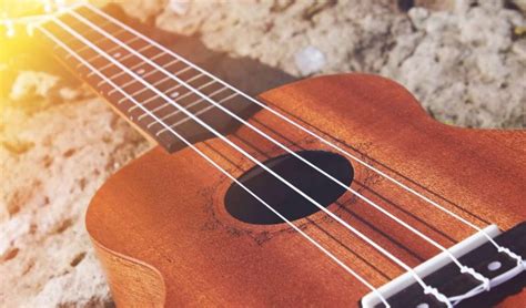 6 Best Ukulele Strings In 2023 (For All Sized Uke's)