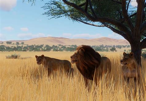 West African Lion | Planet Zoo Wiki | Fandom