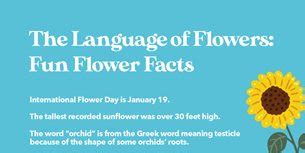 23 Fabulous and Fun Flower Facts | FactRetriever.com