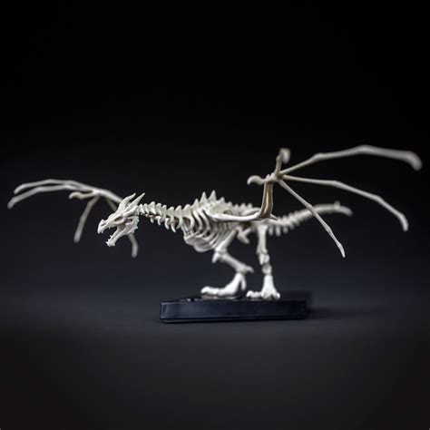 Skyrim Skeletal Dragon Kit | Elder Scrolls | Fandom