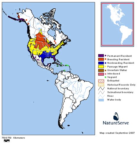 Americas Range Map - Double-crested Cormorant | BirdPhotos.com