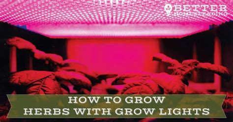 Tips On How To Grow Herbs With Grow Lights [A BEGINNER'S GUIDE]