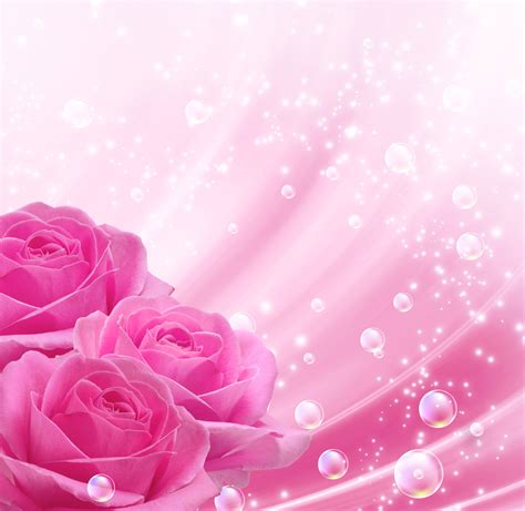 Pink Background with Pink Roses | Gallery Yopriceville - High-Quality ...