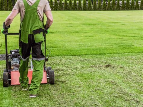 How Often Should I Aerate Lawn? (Best Time To Aerate ) | Lawn Model