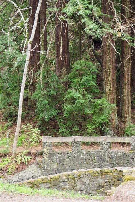 Picnic at Reinhardt Redwood Regional Park - Lonely Hiker