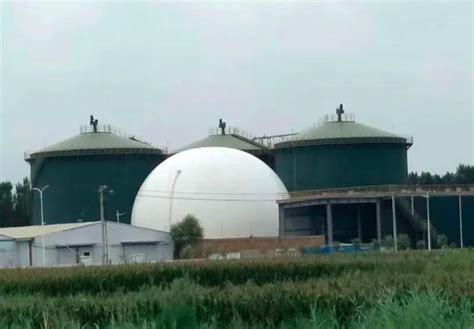 Biogas energy - Biogas Anaerobic Digester Plant for Pig Manure ...