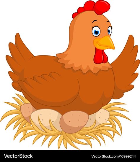 A hen hatching eggs Royalty Free Vector Image - VectorStock