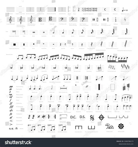 Collection Musical Symbols Notes Musical Notation Stock Vector (Royalty ...