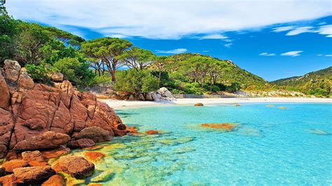 Palombaggia Beach In Corsica Island In France 4k Uhd Wallpaper ...