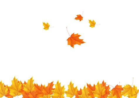 Autumn Leaf Clip art - Fall maple leaves background image png download ...