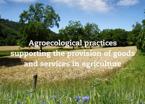 Agroecological practices - Agroecology Europe