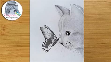 How to draw a cat with butterfly - pencil sketch for beginners || step ...