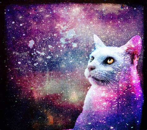 Galaxy Cat by skinagainstface on DeviantArt