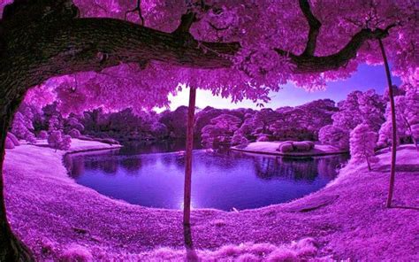 Purple Desktop Wallpapers - Top Free Purple Desktop Backgrounds ...