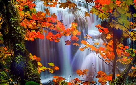 Fall Scenery Wallpapers - Top Free Fall Scenery Backgrounds ...