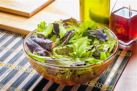 Mixed Salad with Condiments Stock Image - Image of table, leaf: 30725583