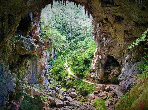 Jenolan Caves Blue Mountains Day Adventure + River cruise - Wildscape ...