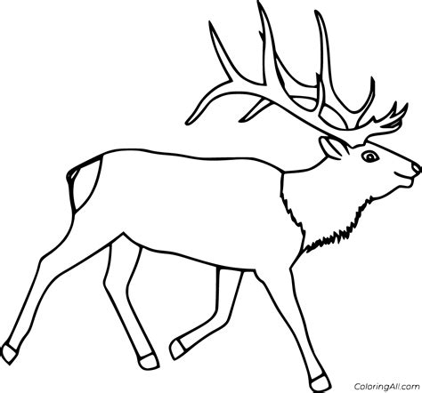 Elk Coloring Pages (21 Free Printables) - ColoringAll