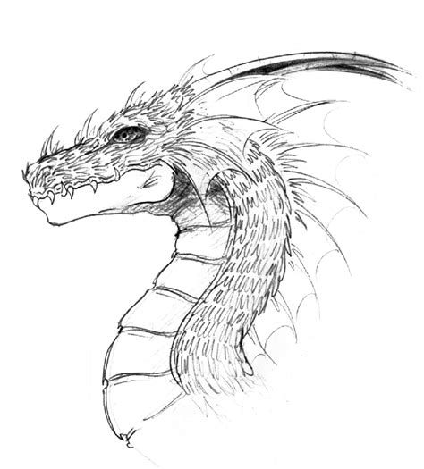 Dragon head by lastwarrior14 on DeviantArt