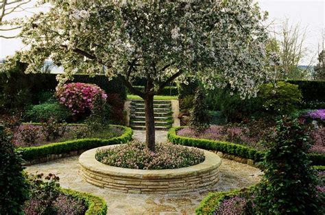 Trees for Patios and Small-Space Gardens