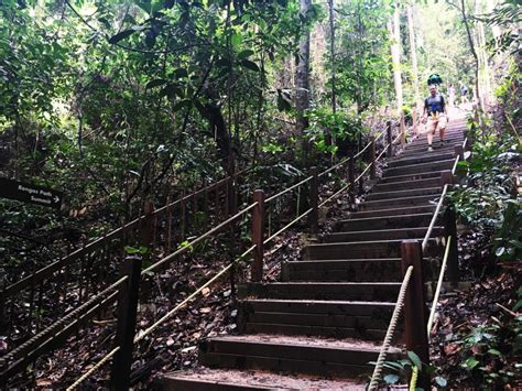 Hiking Trails in Singapore - Expat.Guide