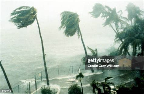 60 1989 Hurricane Hugo Stock Photos, High-Res Pictures, and Images ...