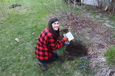 Best time to plant apple trees ???? ⏳ Maximizing growth with seasonal ...