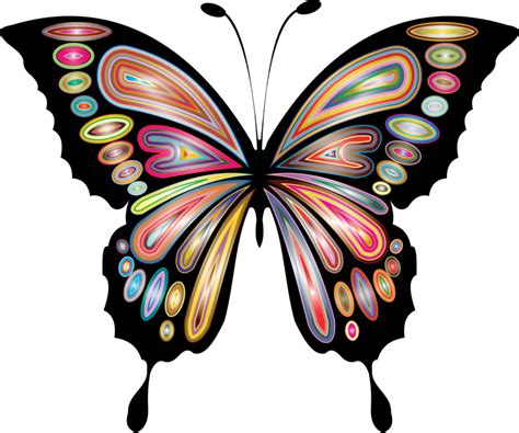 Butterflysymmetryartwork Png Clipart Royalty Free Svg Png