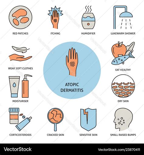 Atopic dermatitis symptoms and treatment banner Vector Image