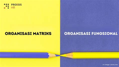 Mitos dan Fakta tentang Organisasi Matriks vs Organisasi Fungsional ...