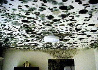 Mold in House on Walls, Ceiling, Windows, How to Remove, Causes