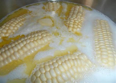 Boiled Corn – Best Cooking recipes In the world