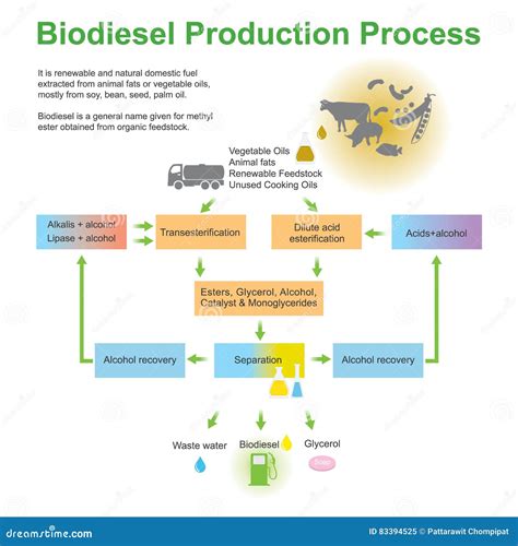 Biodiesel Production Process Stock Vector - Illustration of palm, water ...