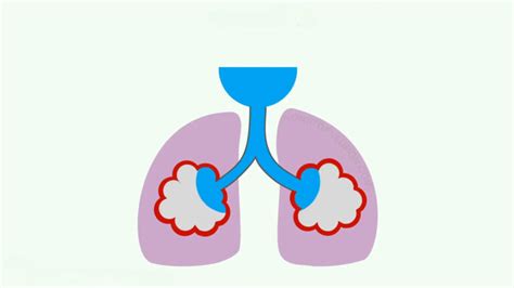 Alveolar Ventilation: The Breath of Life