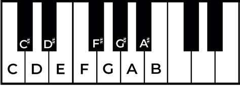 The Sharp Sign in Music - What Is It And how Is It Used?