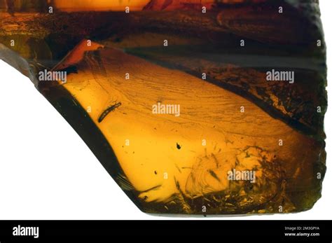 Baltic Sea Amber with inclusions Stock Photo - Alamy