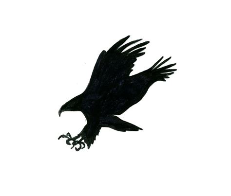 Golden Eagle Silhouette at GetDrawings | Free download