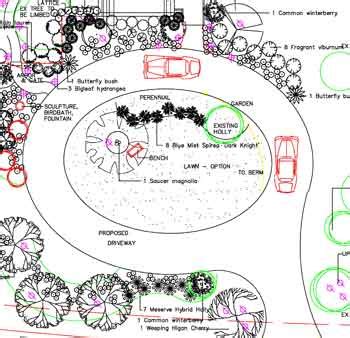 Creating a Stunning Driveway Landscape