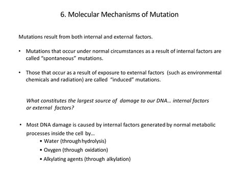 MBG2040-Gene Mutation and DNA repair Part II - Mutations result from ...