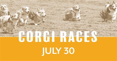 Corgi Dog Races