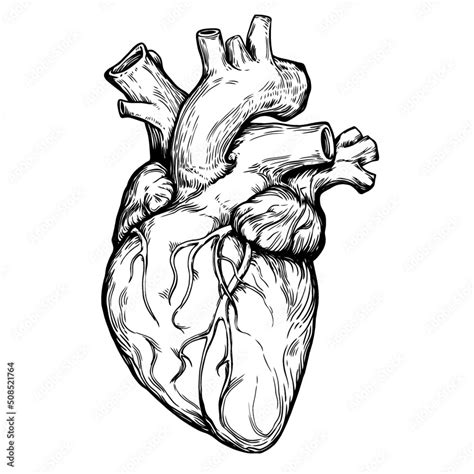 Vetor de Realistic vector graphic engraving vintage style black heart ...