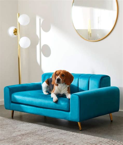 The 11 Best Dog Sofas You Can Buy Right Now – PureWow