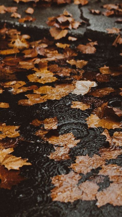 Aesthetic Autumn Rain Wallpapers - Wallpaper Cave