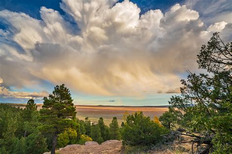 Mormon Ledges | Mormon Lake, Arizona | Stan Rose Images