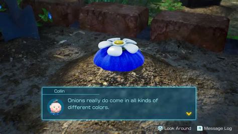 Pikmin 4: All Onion Locations - KeenGamer