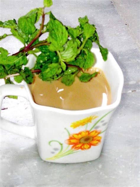 Mint tea (Pudina chair) and rains - Shilpsnutrilife