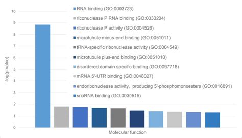 Diagram presenting identified the molecular functions of LLPS-related ...